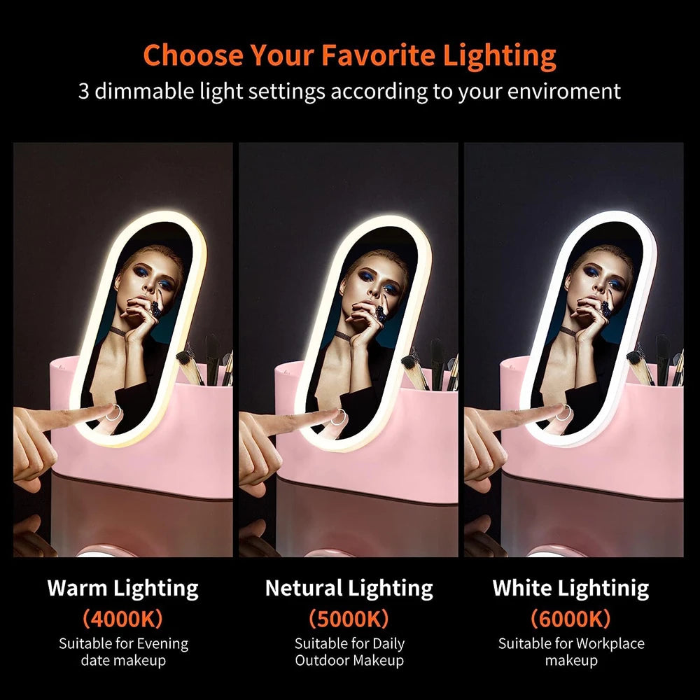 Storage Box LED Makeup Mirror Portable Travel Makeup Organizer Carrying Box With Mirror LED