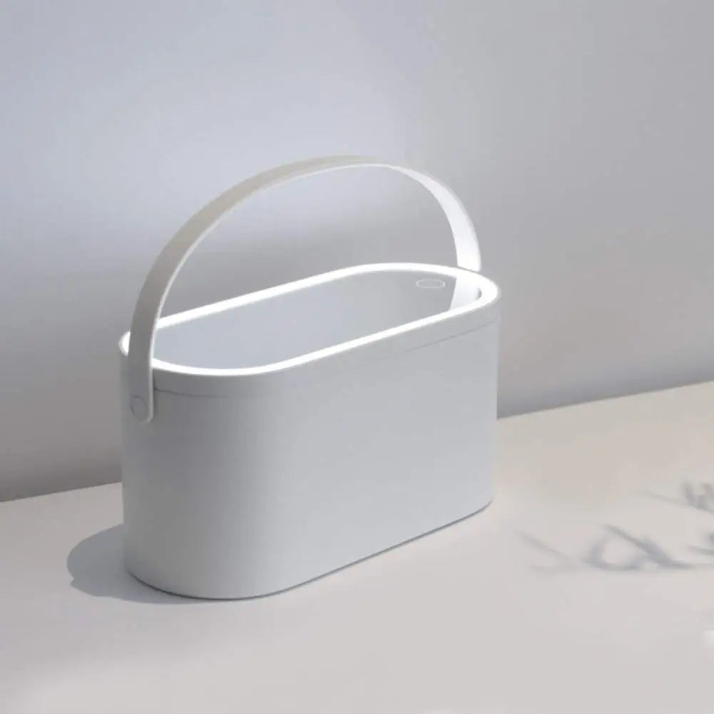 Storage Box LED Makeup Mirror Portable Travel Makeup Organizer Carrying Box With Mirror LED